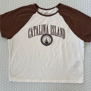 Hollister Catalina Island Brown and White T-Shirt
